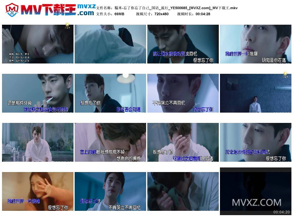 糯米-忘了你忘了自己_国语_流行_YE500685